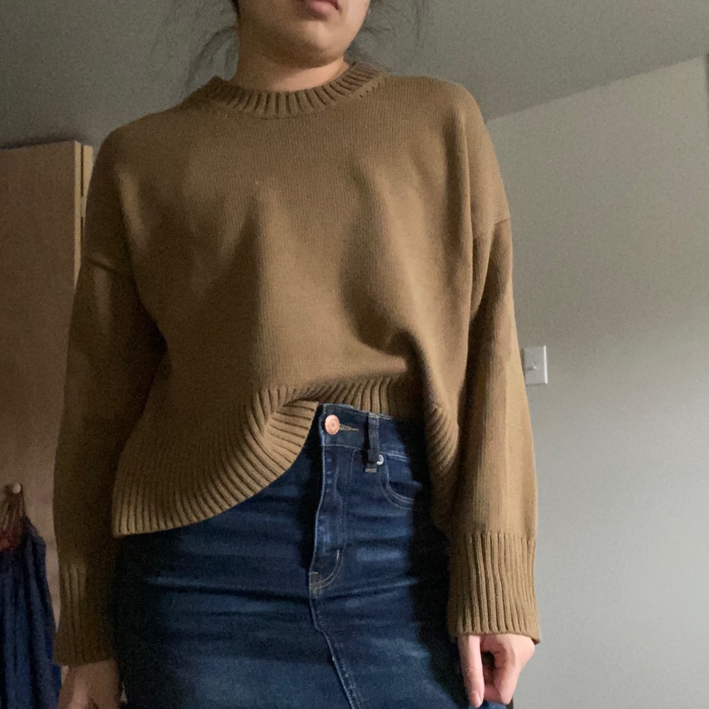 Everlane Heavy Cotton Knit Sweater
